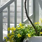 Secret Garden Apartament *