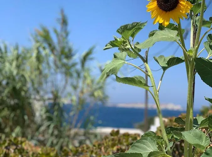 Apartmán Secret Garden